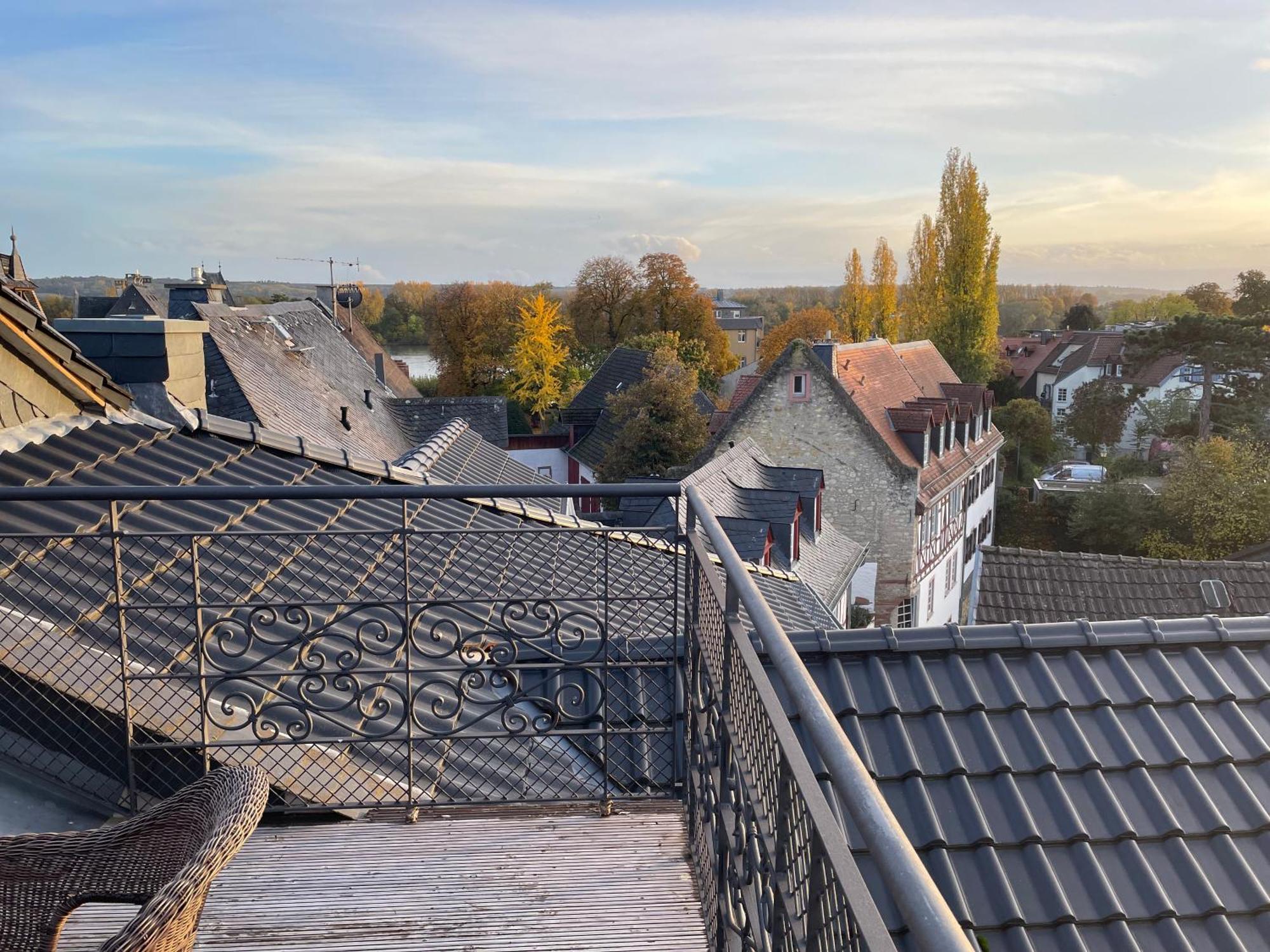 Alta Villa - Ferienwohnung Eltville am Rhein Bagian luar foto